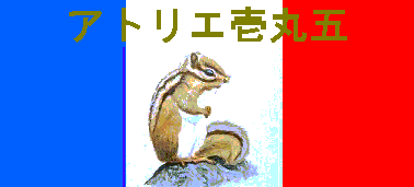 �A�g���G��ی܃o�i�[